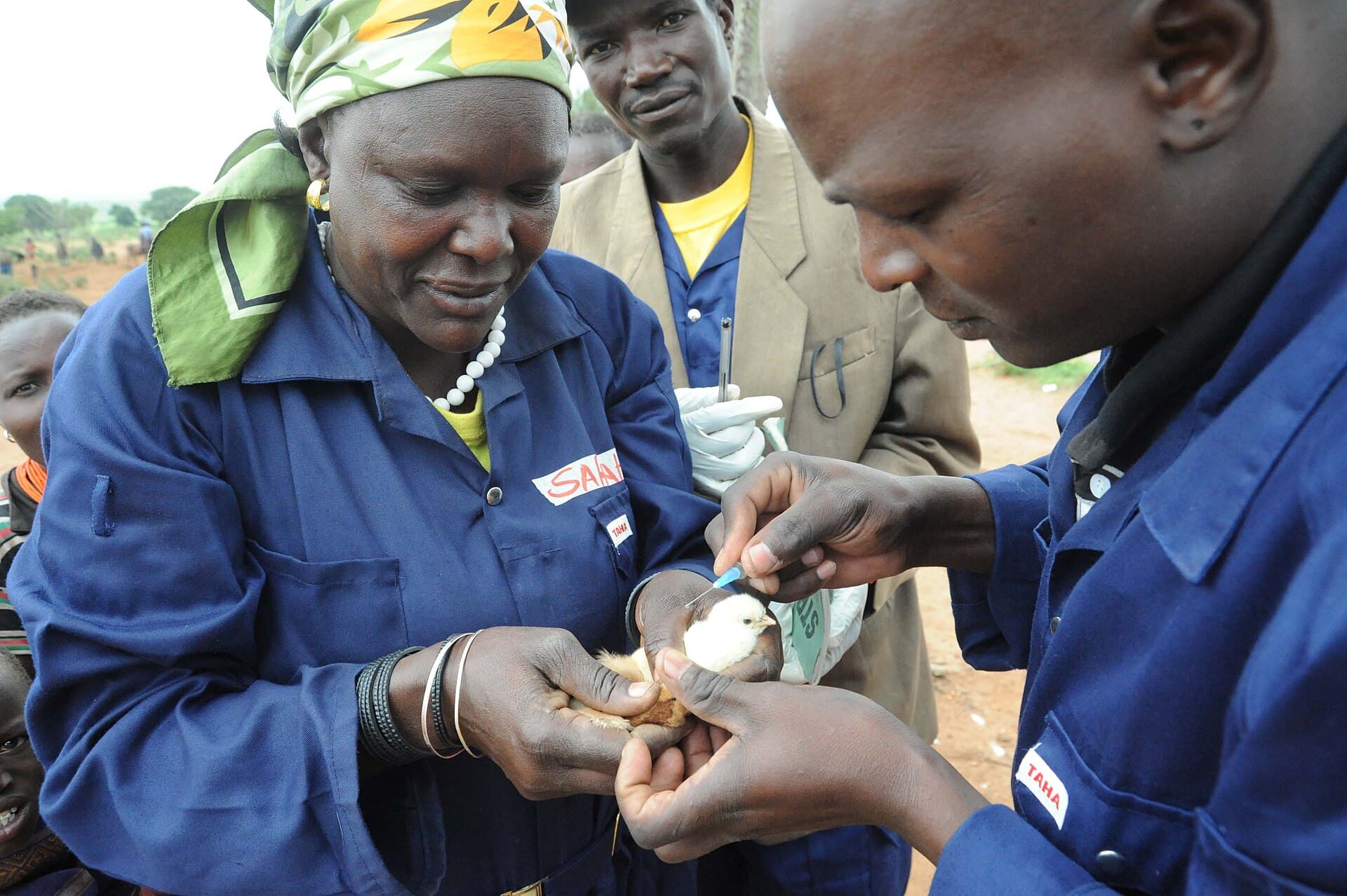Community animal health outreach programme