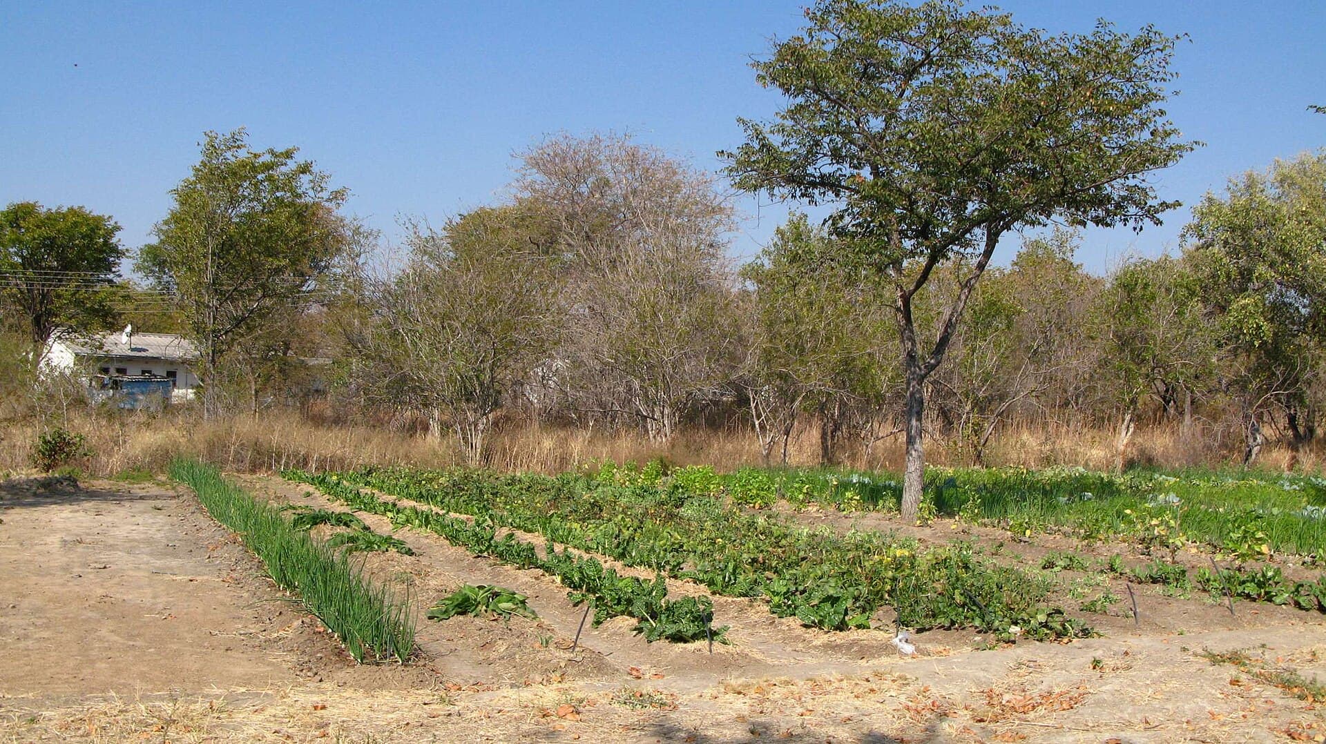 Sustainable Community Development