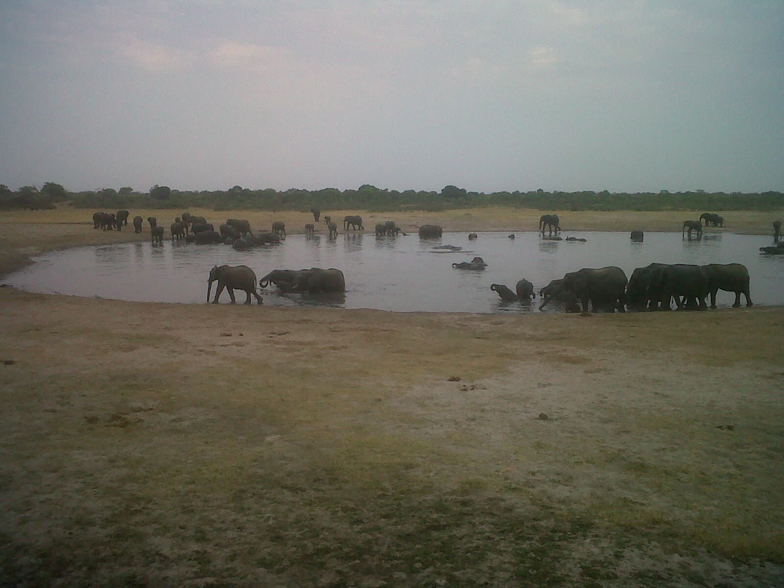 Human-Wildlife Coexistence