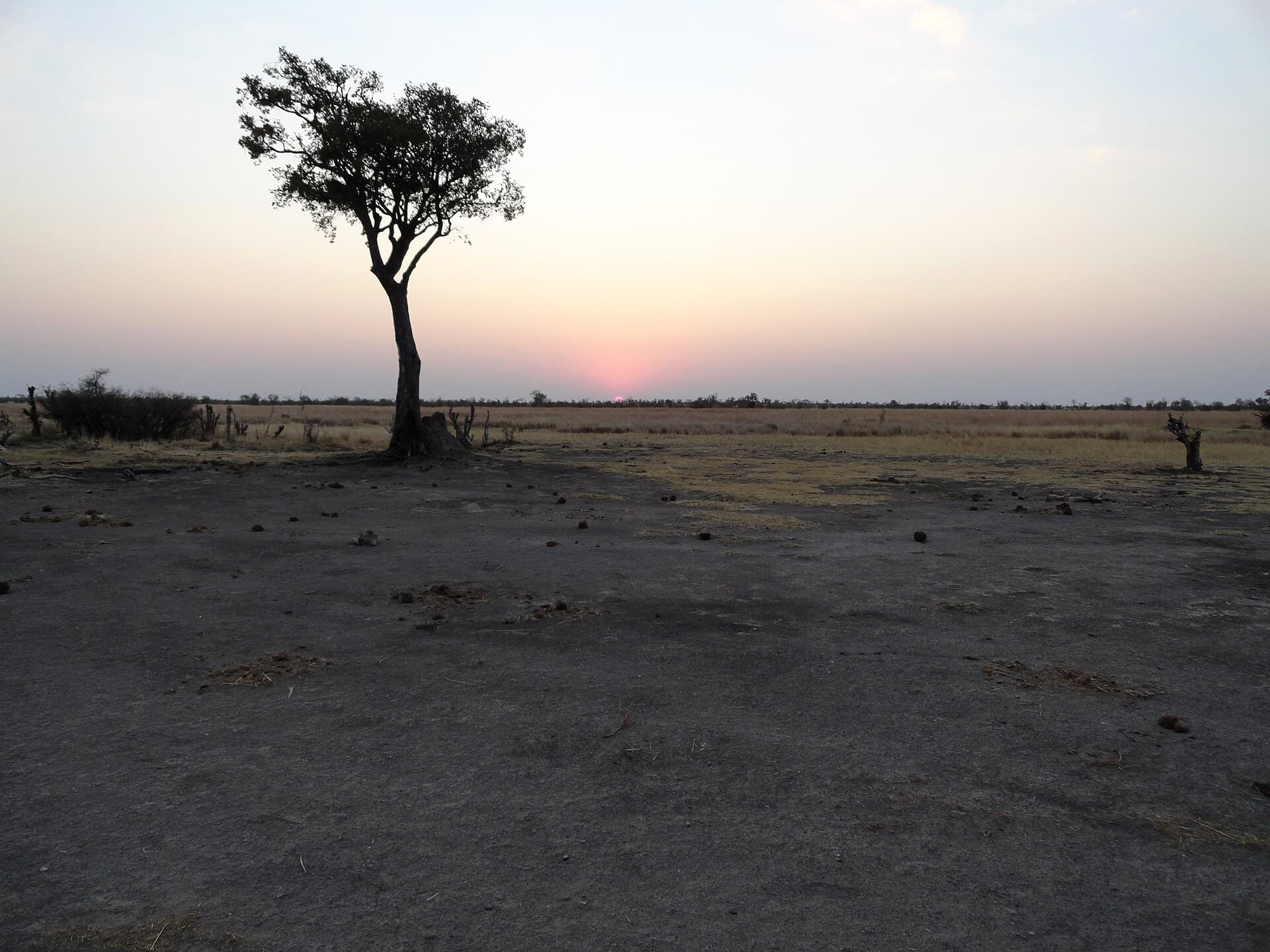 Woodland and grassland in Hwange National Park