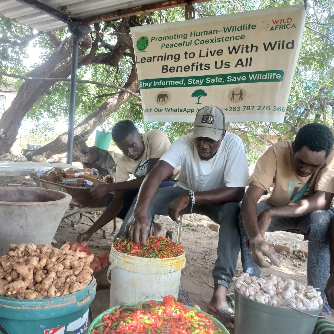 Participants preparing materials beneath a coexistence banner