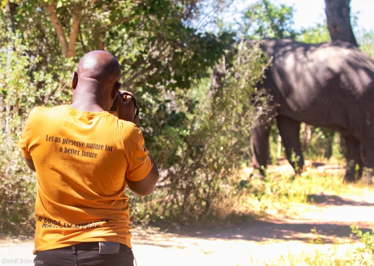 A participant watching an elephant from a viewing area