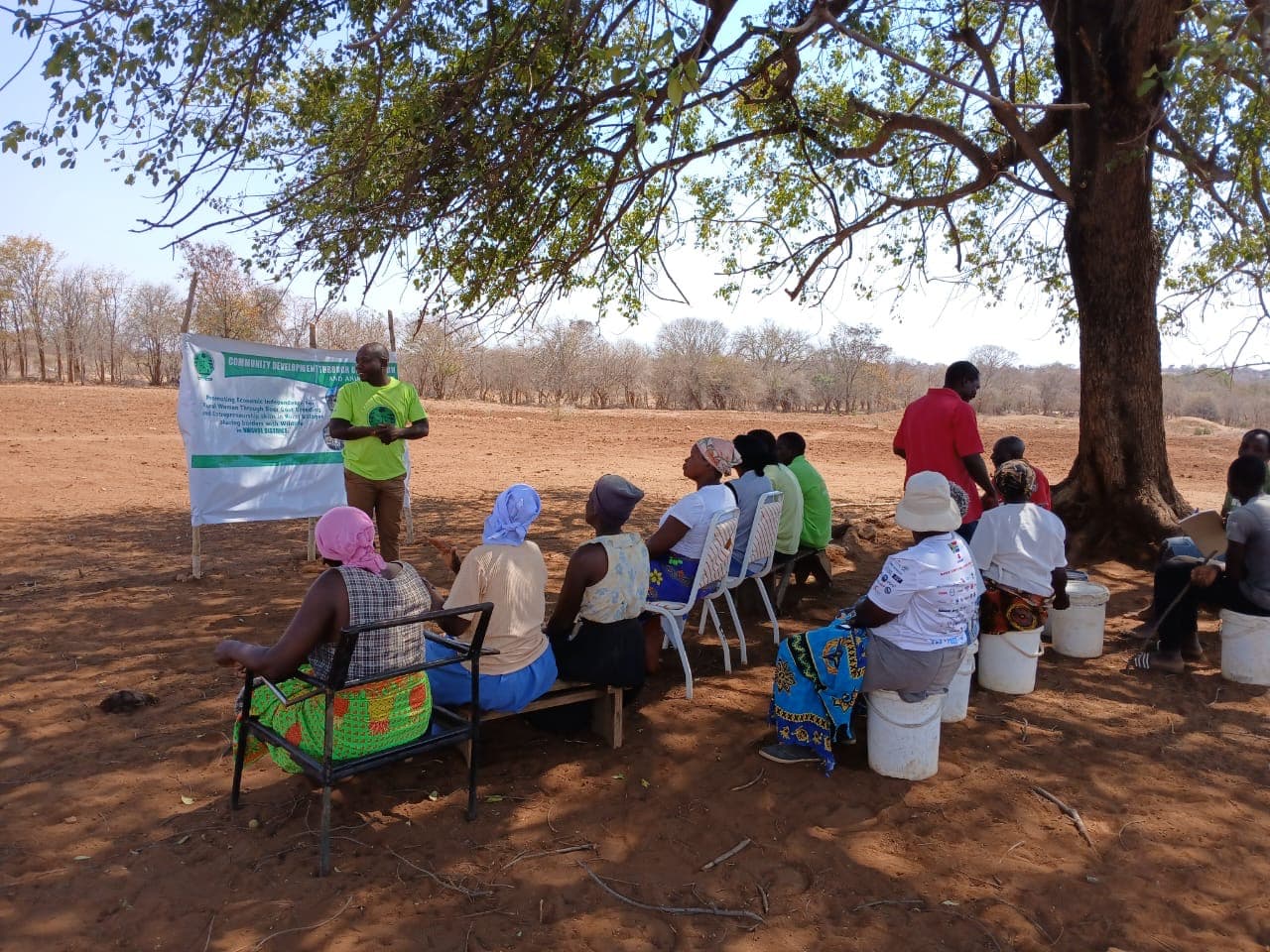 Community members attending a session beneath a tree