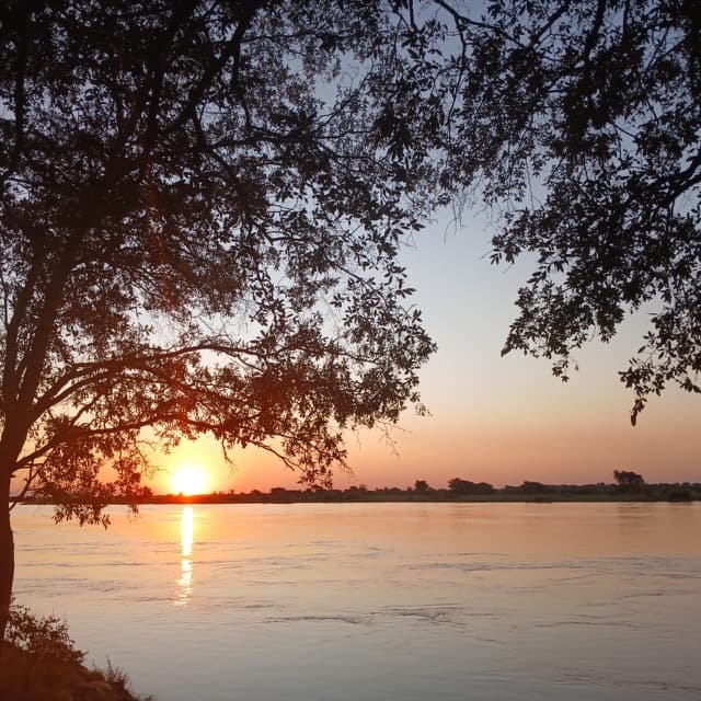 Sunset over water framed by a tree