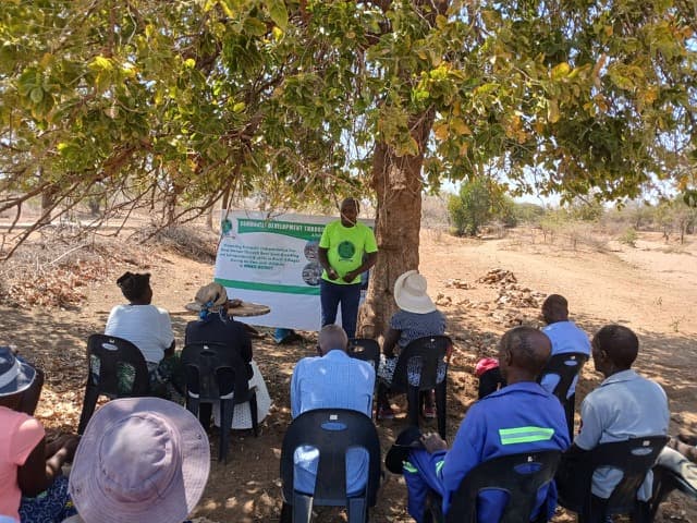 An outdoor presentation beneath a leafy tree