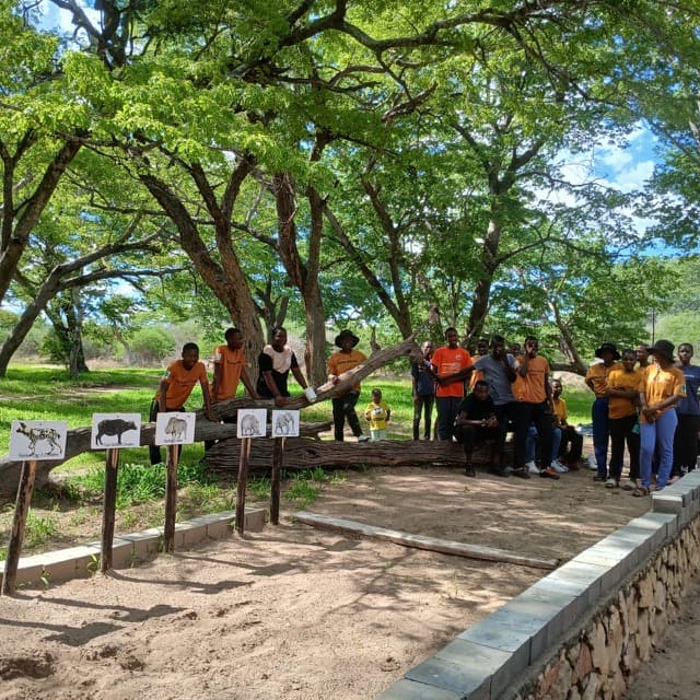 Young people visiting an outdoor display beneath trees