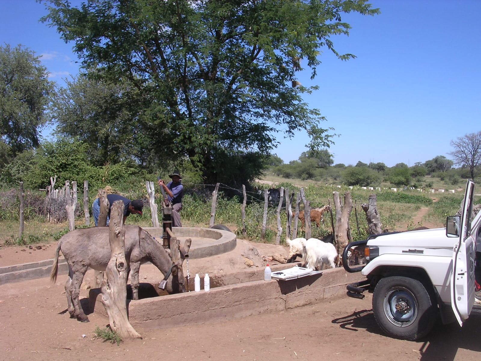 A community borehole water point in rural Zimbabwe